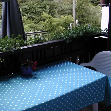 Casa Vacanze Muina Holiday home Ovaro